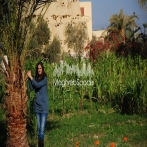 Rola zaki